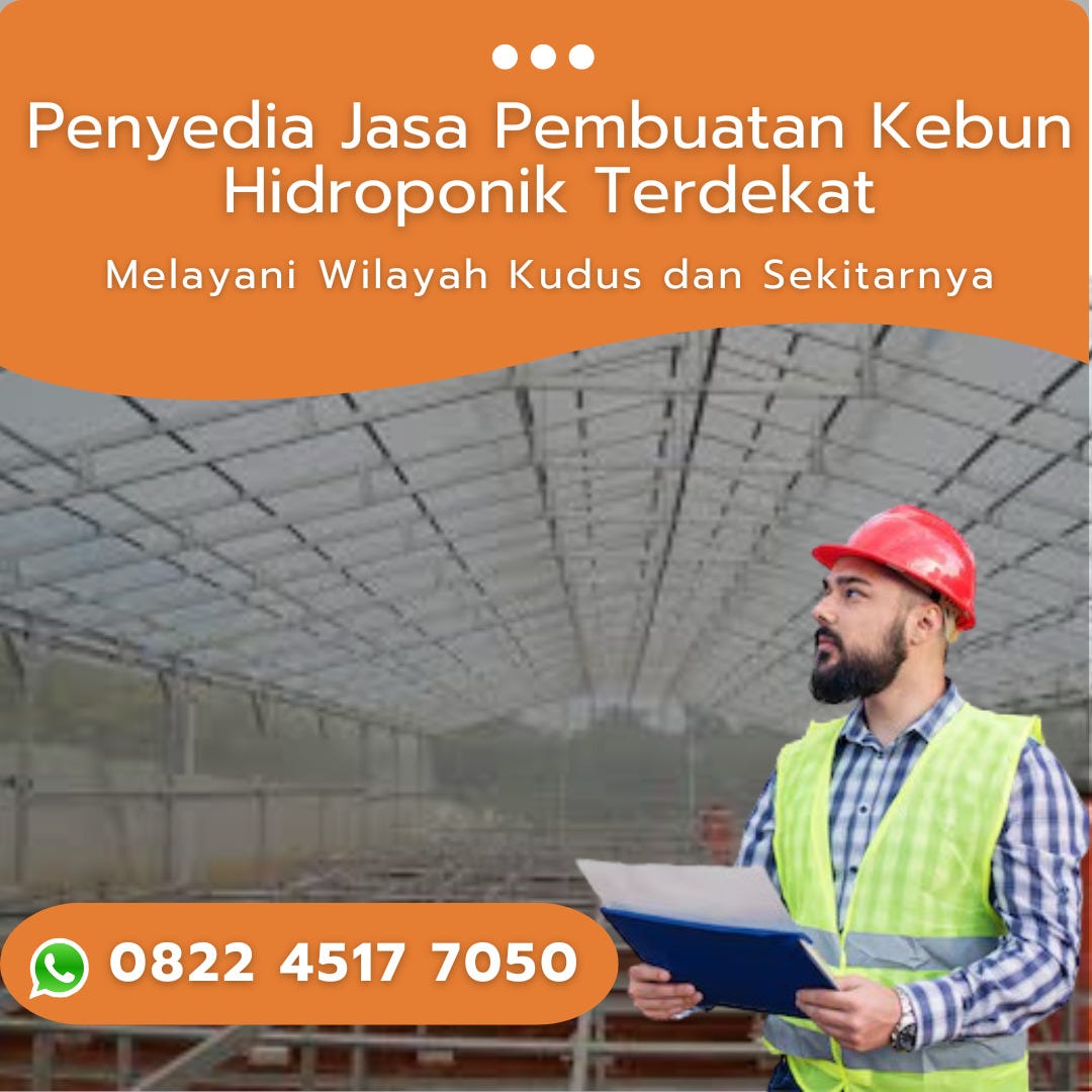 Penyedia Jasa Pembuatan Kebun Hidroponik Terdekat Kudus dan Sekitarnya