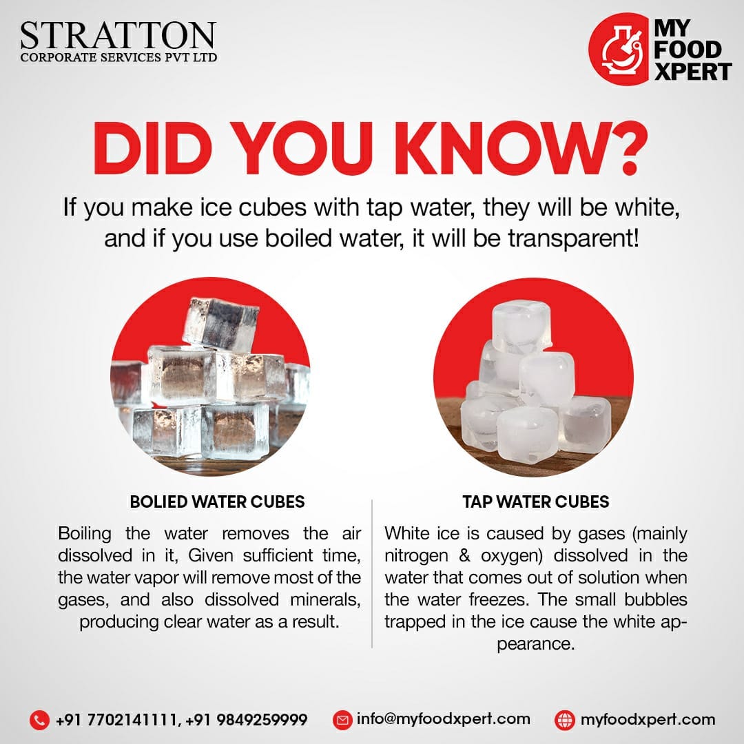 Diffrence between Tap Water & Boiled Water Ice Cubes — MyFoodXpert