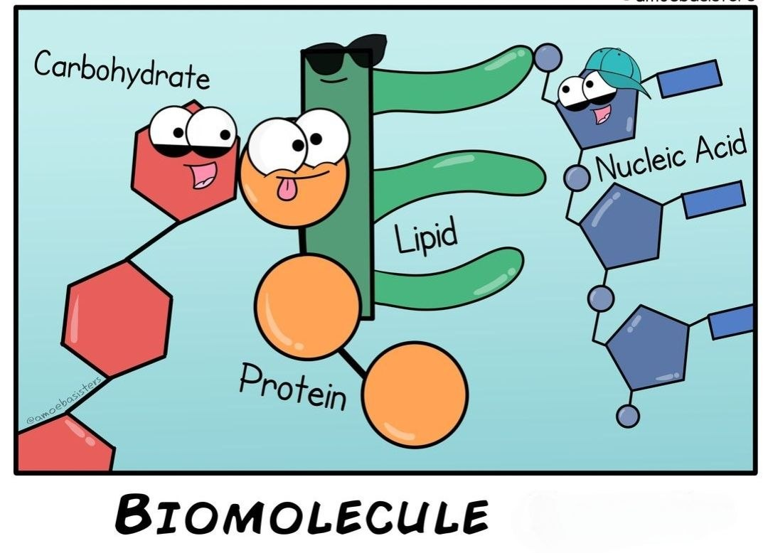 How Do Lifeless Molecules Become Alive? The Complete Story of “Biomolecules”