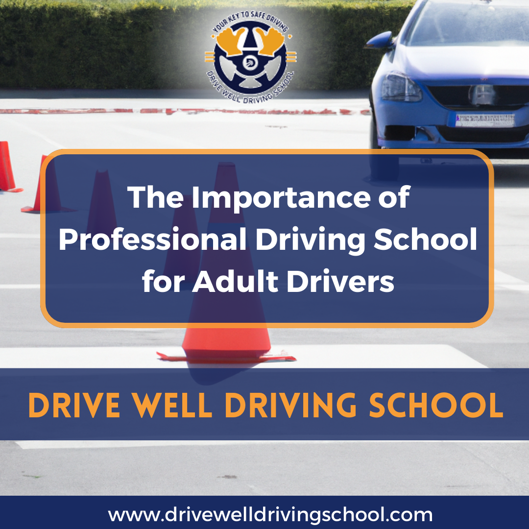 The Importance Of Professional Driving School For Adult Drivers | By ...