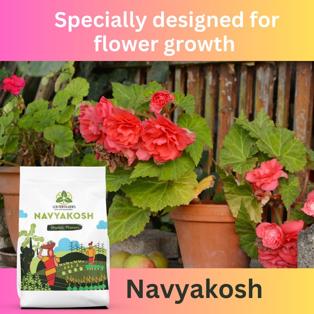 Choosing the Ideal Organic Fertilizer for Your Blooming Flowers by