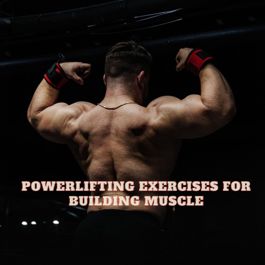 Powerlifting Exercises for Building Muscle. by Arun Santra Medium