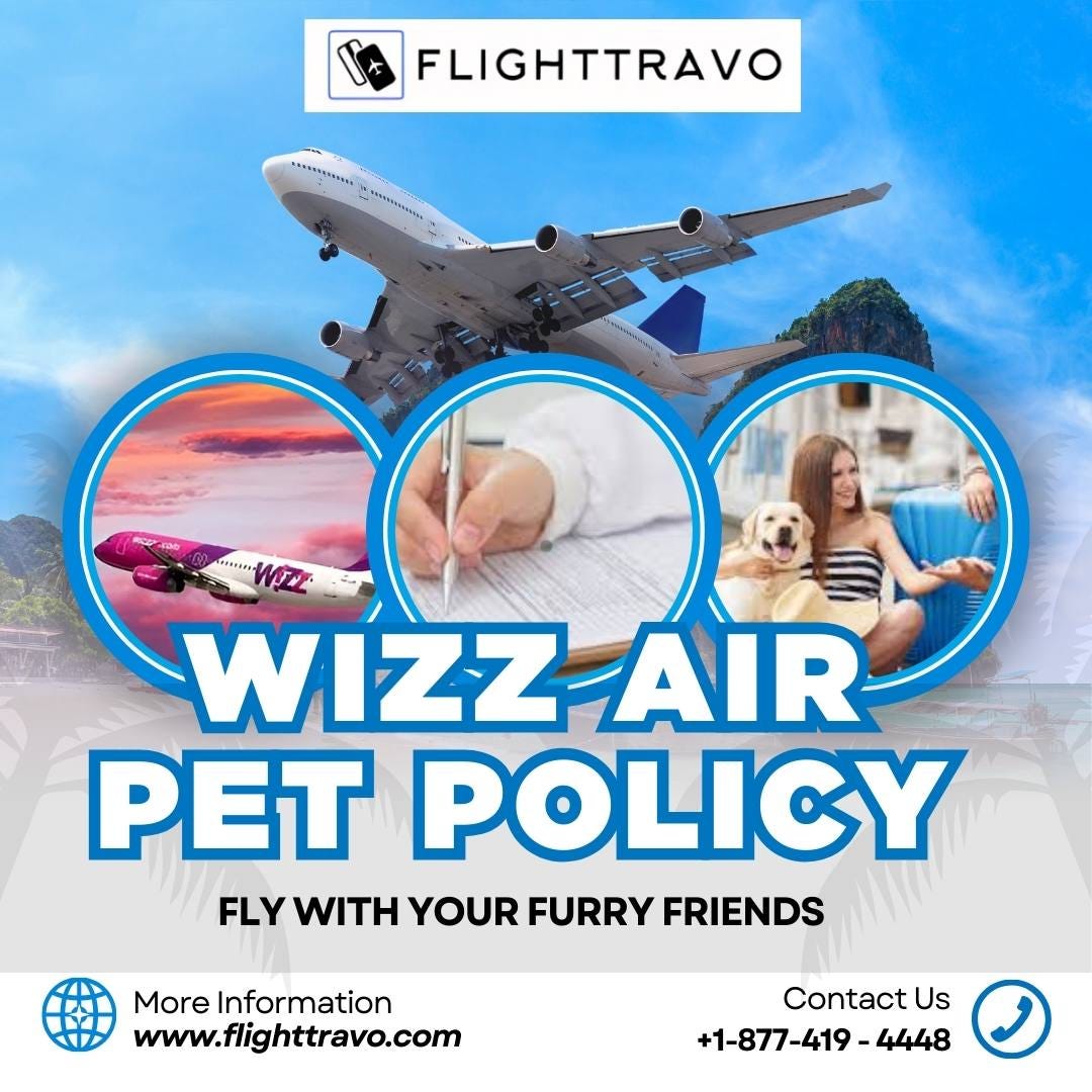 Traveling With Pets? Exploring Wizz Air Pet Policy by Flight Travo