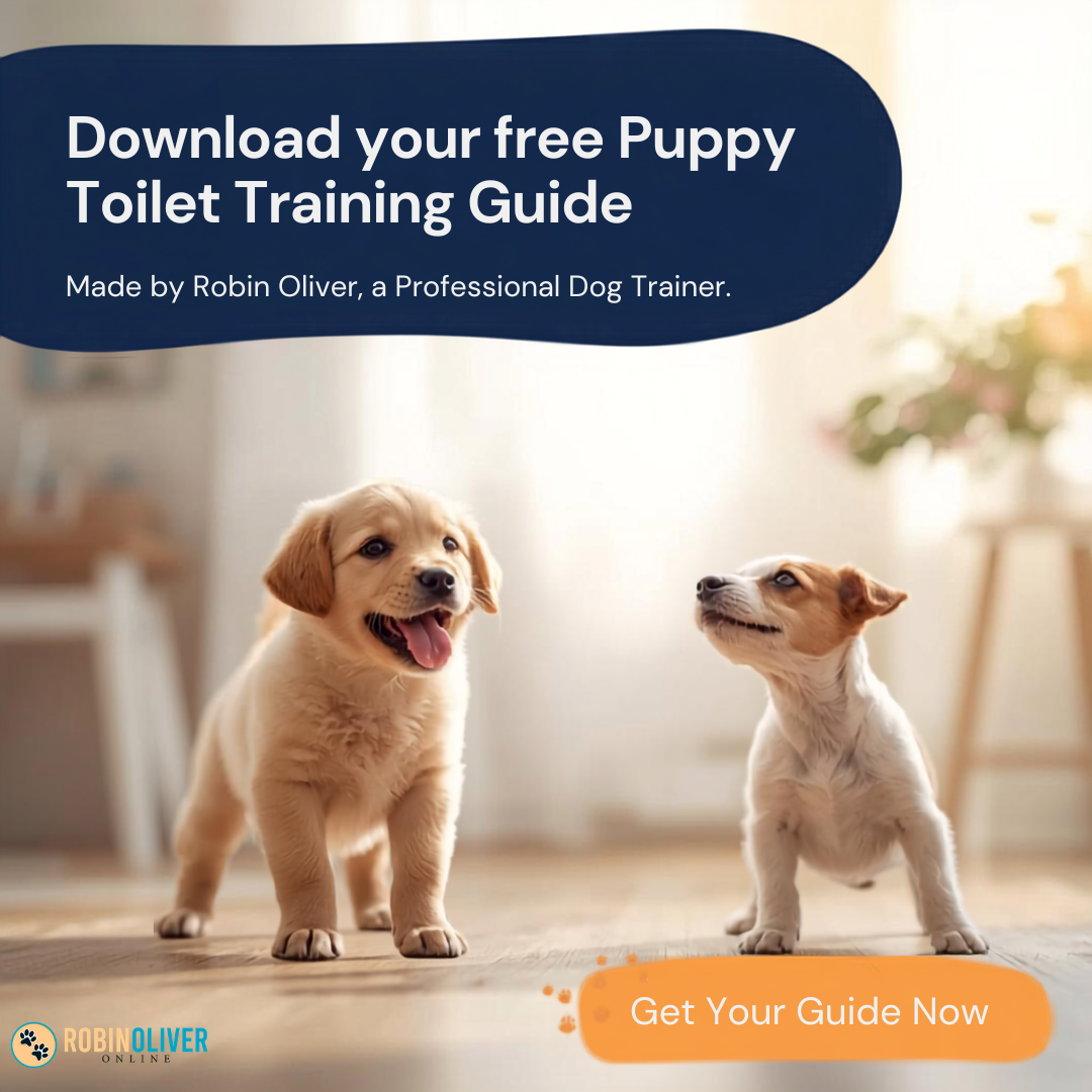 Free Guide — Puppy Toilet Training