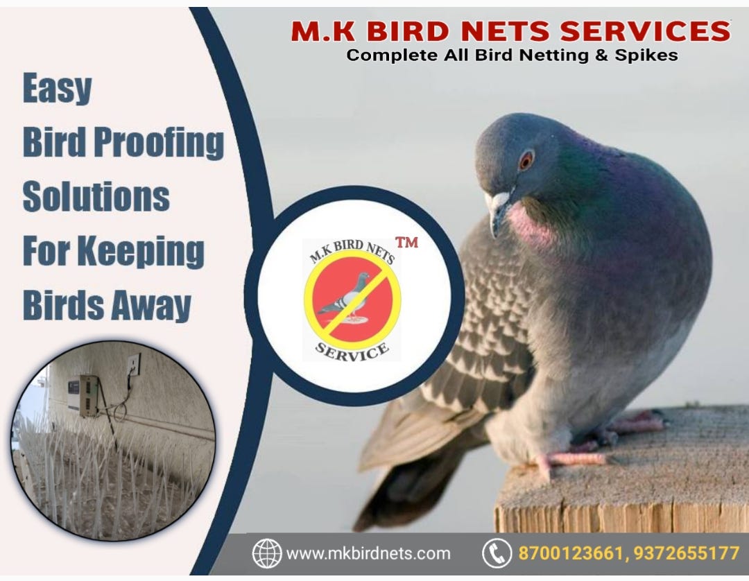 Best Residential Bird Netting Service in Sector10 Bird net installation by MK BIRD NETS