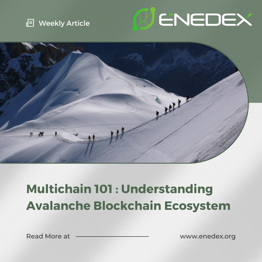 Multichain 101 Understanding Avalanche Blockchain Ecosystem by
