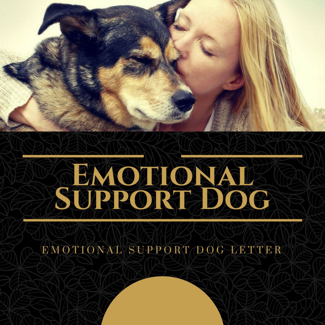 Few Things You Need to Do While You Travel with an Emotional Support