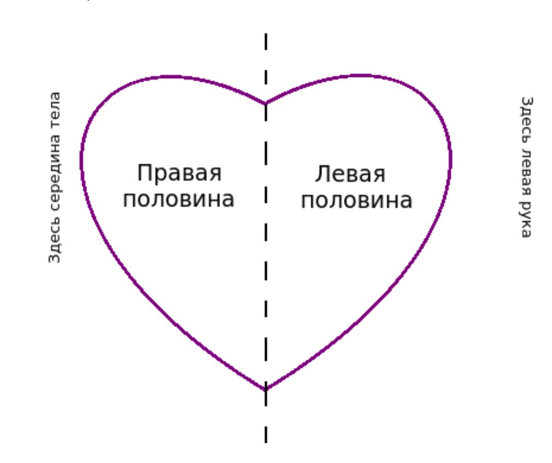 Радиус и диаметр круга. Обозначение диаметра. Сечение в диаметр. Половинка диаметра. Диаметр окружности.