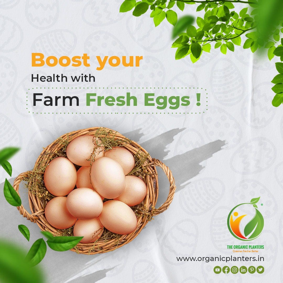 Boost Your Health with Farm Fresh Eggs ! by The Organic Planters Medium