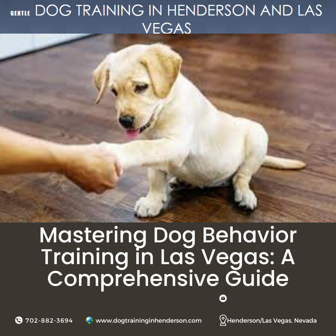 Mastering Dog Behavior Training in Las Vegas A Comprehensive Guide