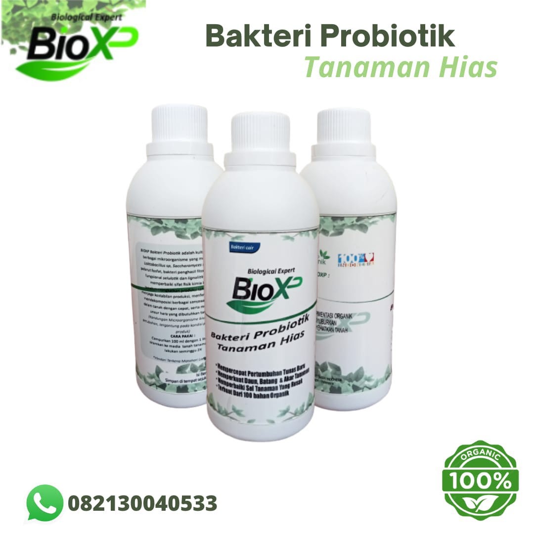 pupuk tanaman hias terbaik BIOXP-0821300040533