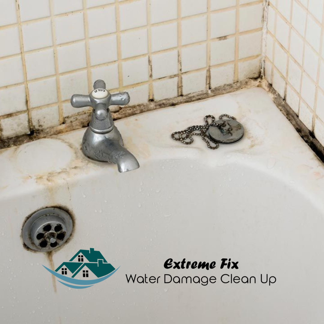 How Can Bathroom Mold Removal Help Me? by Extreme Fix Water Damage
