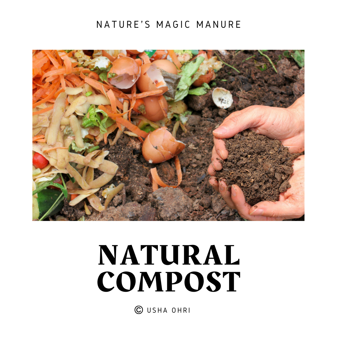 The Incredible World of Natural Compost: Turning Trash into Garden ...