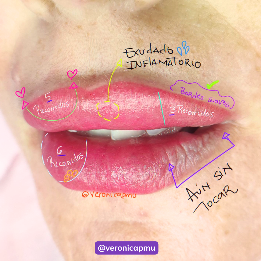 Los Errores Más Frecuentes en la Micropigmentación de Labios + VIDEO