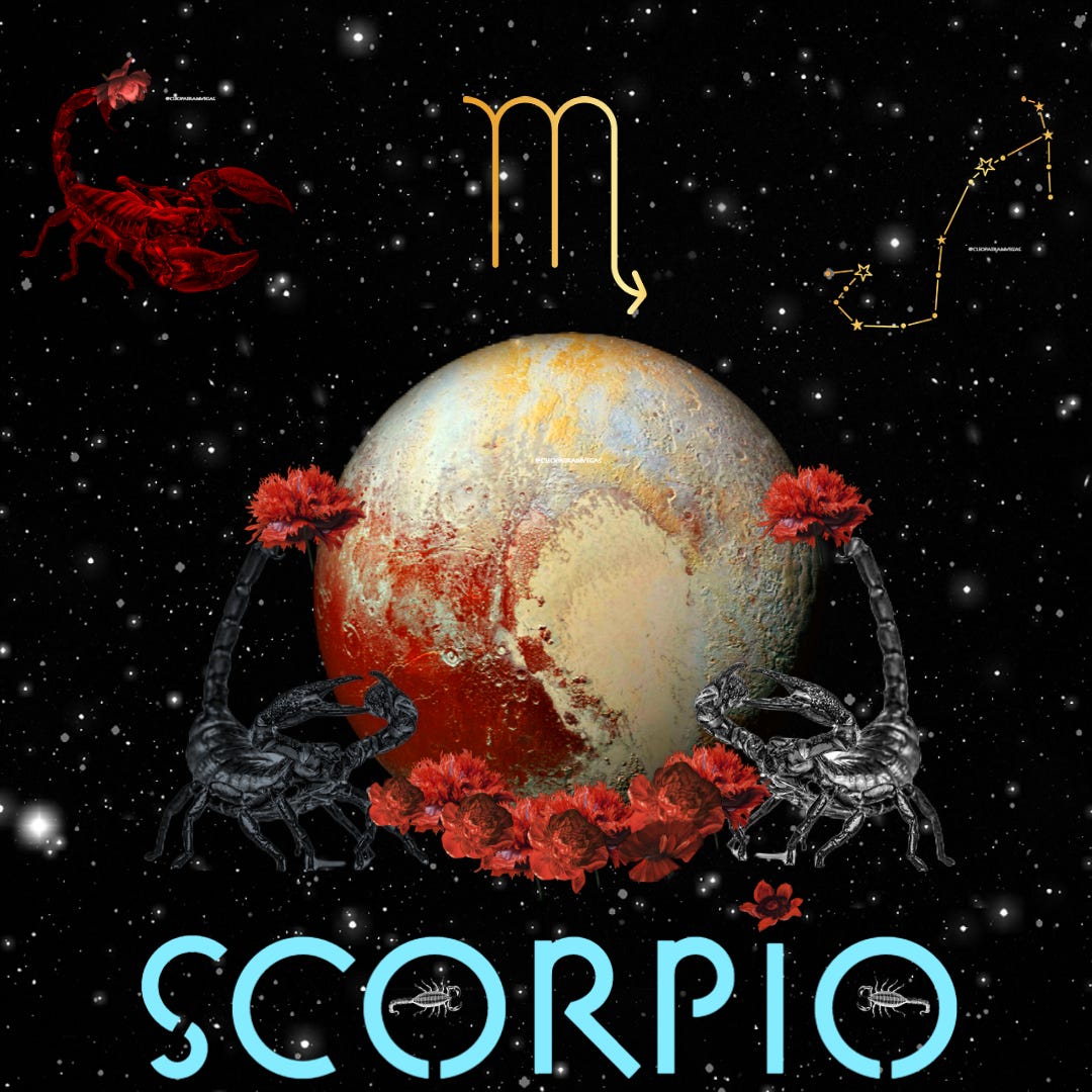 The 7 Traits Of Scorpio We Should Adopt To Connect With Our Pheonix