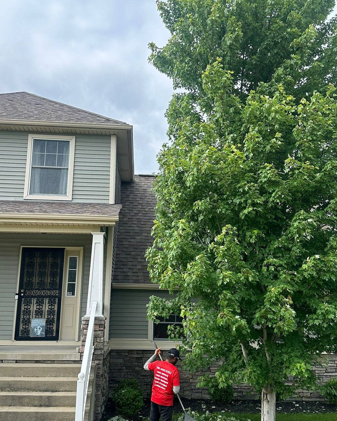 Professional Tree Removal Service in Syracuse, NY by KD Tree KD Tree