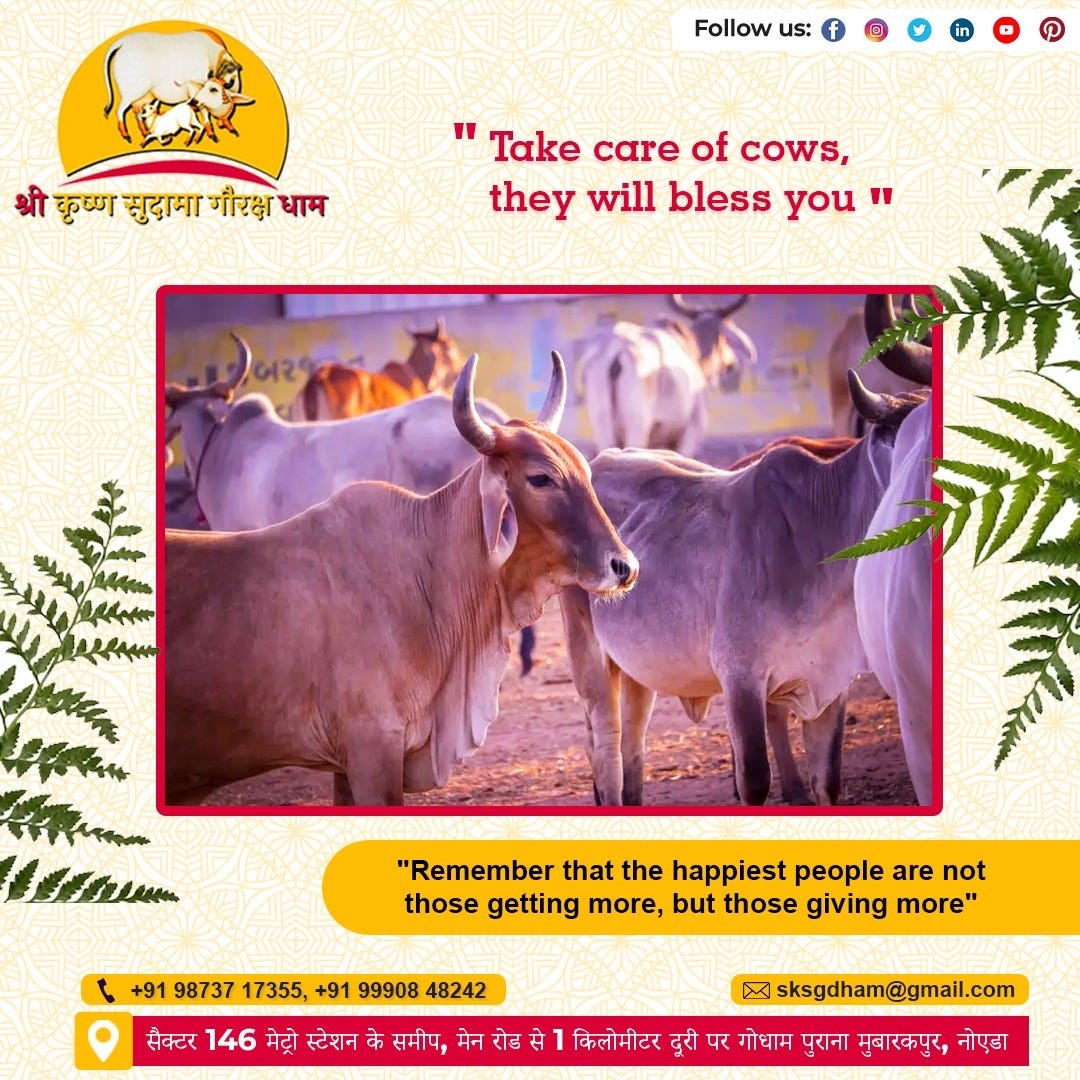 Support cows Jkpromaxx Medium