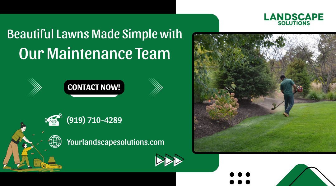 Maintain Stunning Lawns with Our Professional Landscape Services