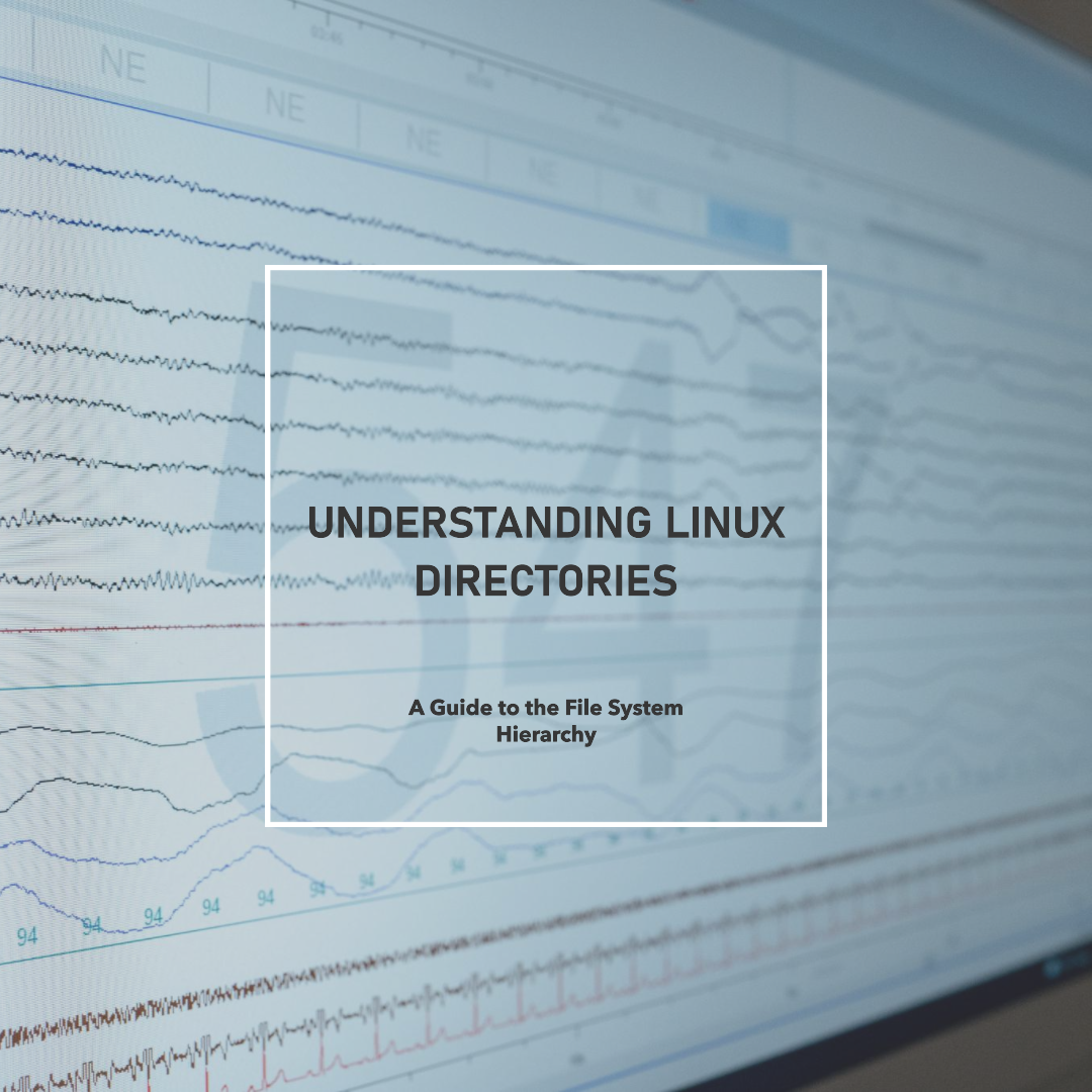 Exploring the Linux File System: A Beginner’s Guide for Curious Minds ...