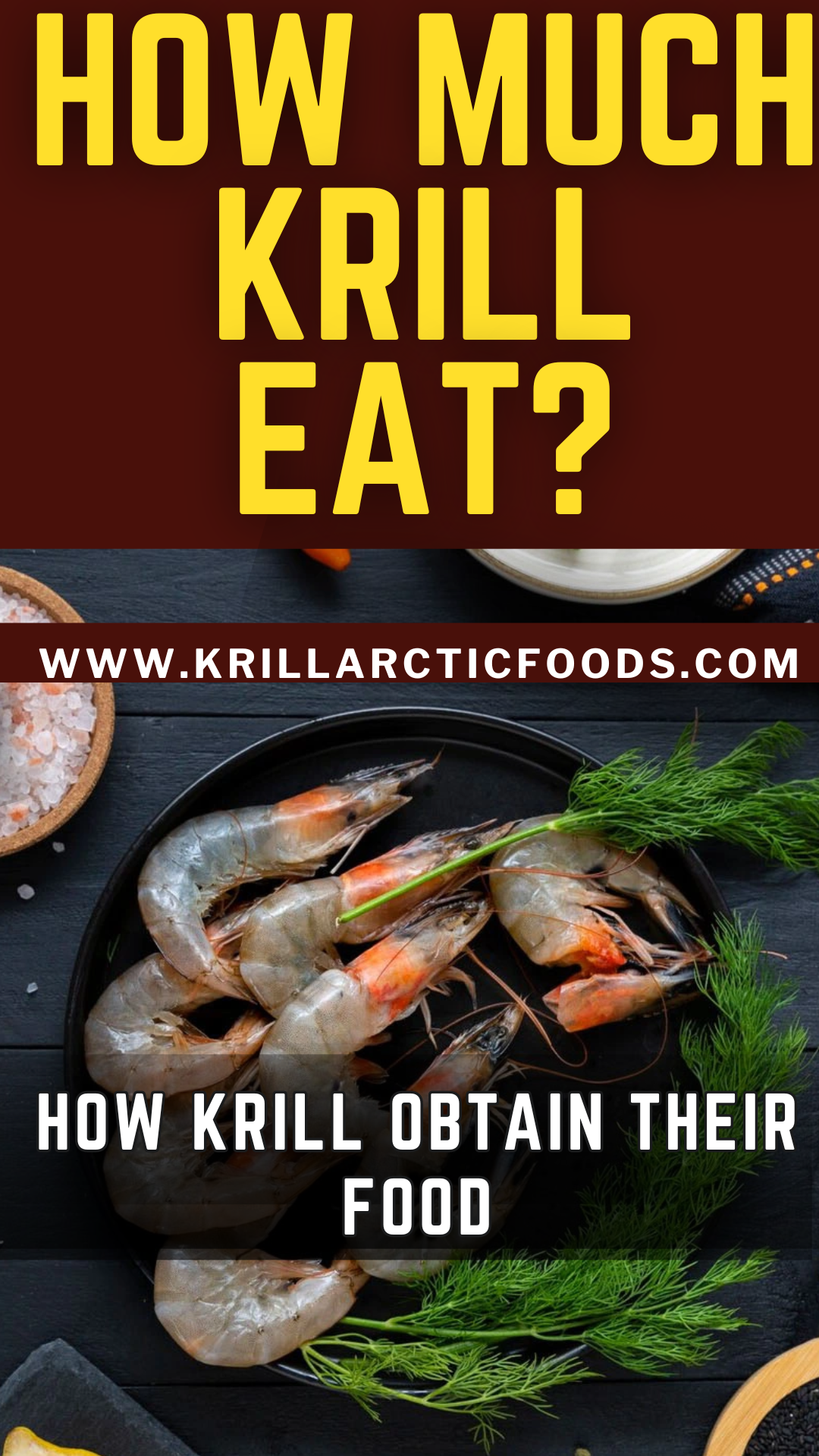 How Much Krill Eat? How Krill Obtain Their Food What Do Krill Eat