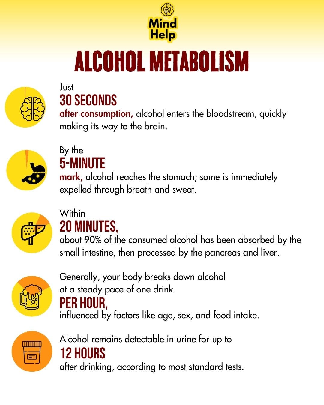 Alcohol metabolism is the body’s intricate process of breaking down