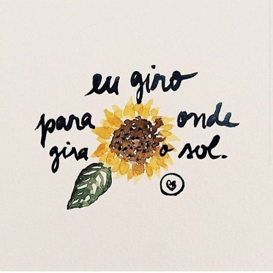 Tradução you are my sunshine: Você é meu raio de sol. Você sabia que a  flor do sol (girassol) significa felicidade? Ela simboliza lealdade,  entusiasmo, By Empório Dapper