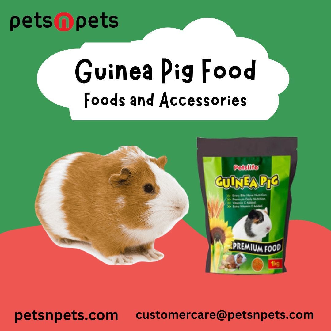 Beautiful view of Guinea Pig Declining Performance Mineral Supplement