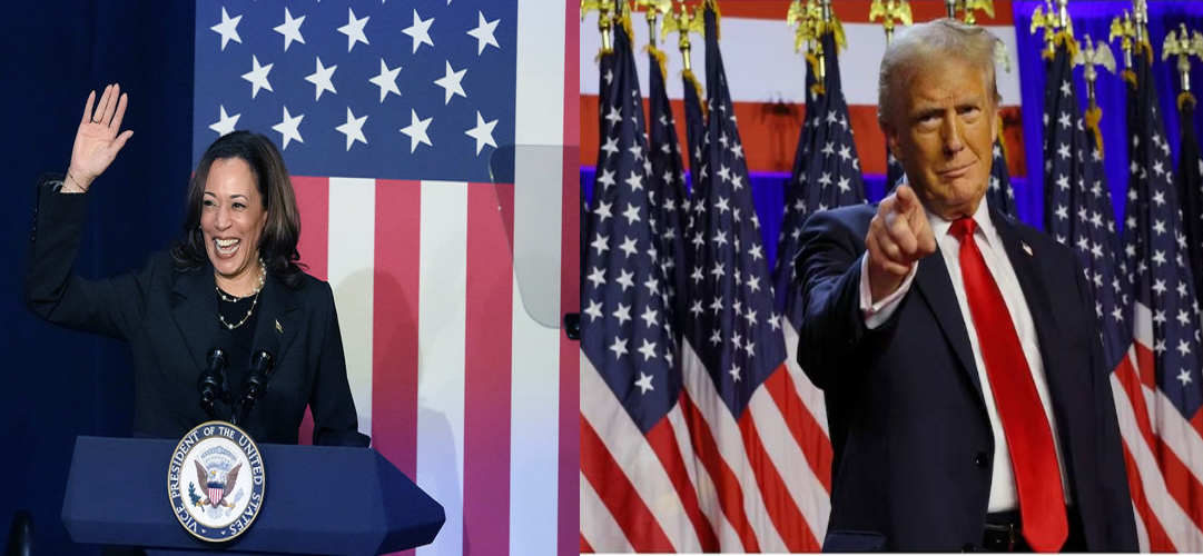 2024 US Election Results Donald Trump Secures a Historic Comeback