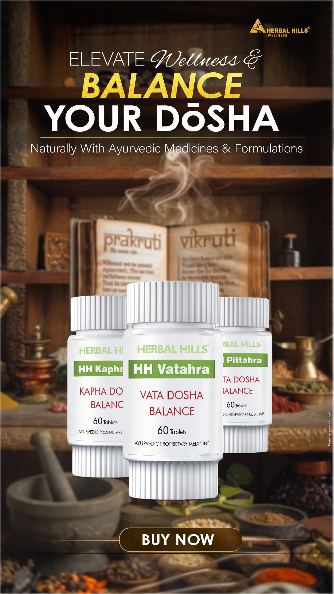 Prakruti — Vikruti Balancers: Unlocking Holistic Health for Businesses in Ayurveda 🌿