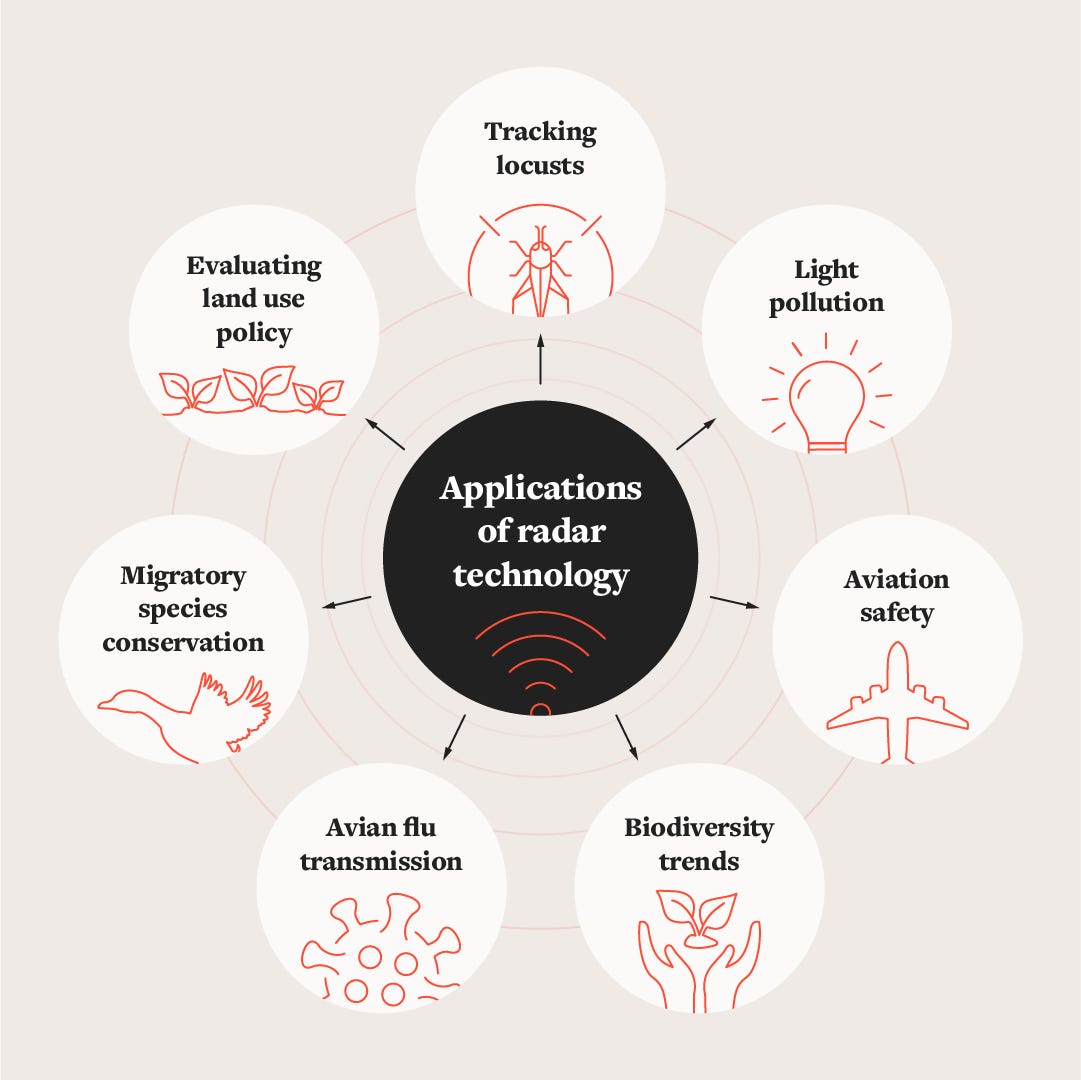 Discover 5 Ways That Radar Can Be Used for Biodiversity Conservation | by  Online courses at Leeds | Online Courses at Leeds | Medium