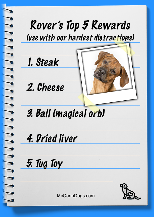 How to Train a Dog to Get along With Cats: Proven Tips for Harmony
