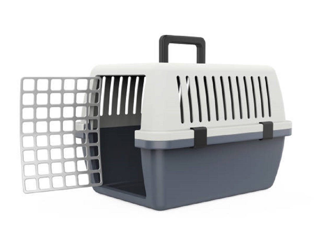 How to Crate Train Your New Puppy by Connor itsconnorethan Medium