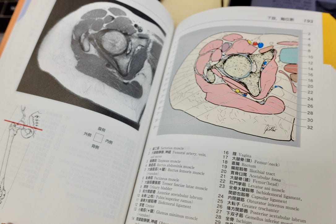 CT/MRI画像解剖ポケットアトラス 第3版 第1巻 頭部・頸部 町田 徹; 小久保 宇