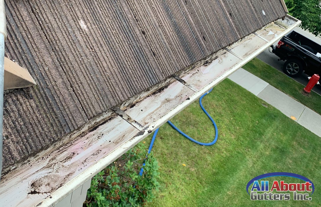 Gutter Cleaning, Why Is It Important? by All About gutters Inc Medium