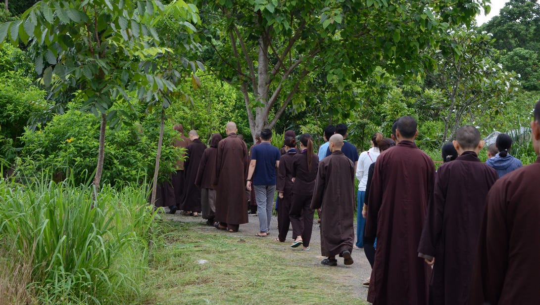 A Week at Thai Plum Village. I don’t usually write about my trips… by