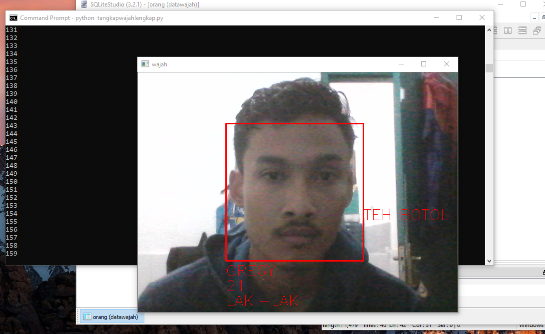 Face Detection Using Python [part 4] | by Gregy Addis Shafila | Medium