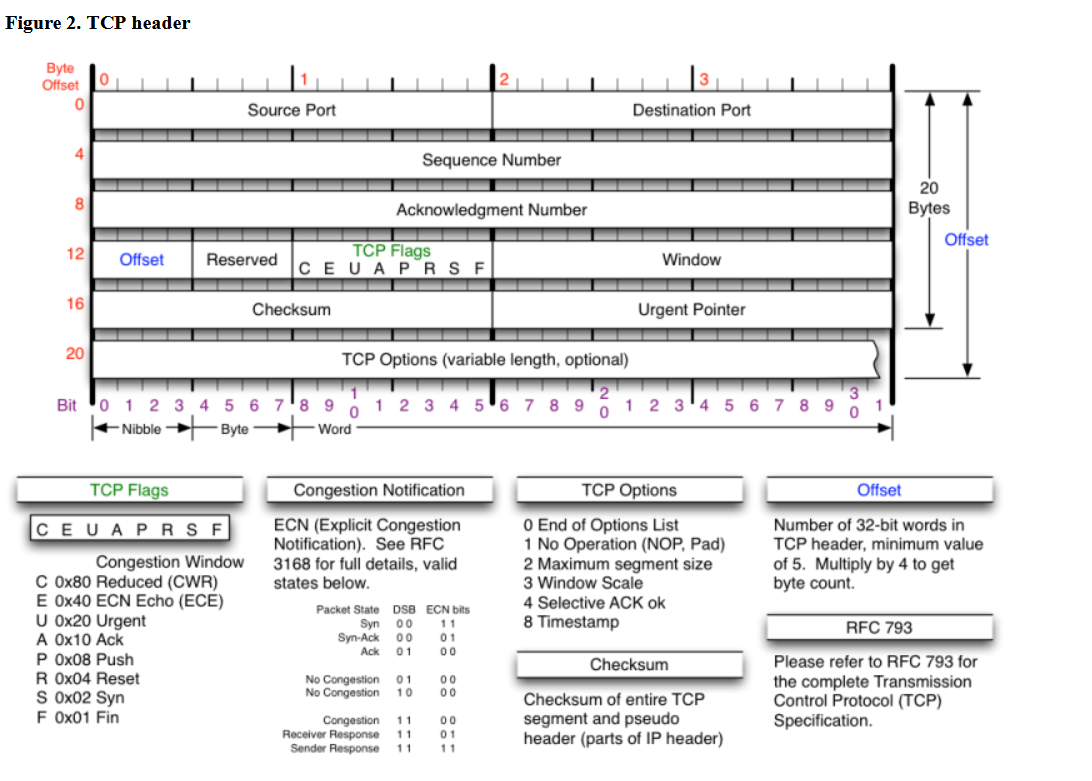 Tcp Packet Structure