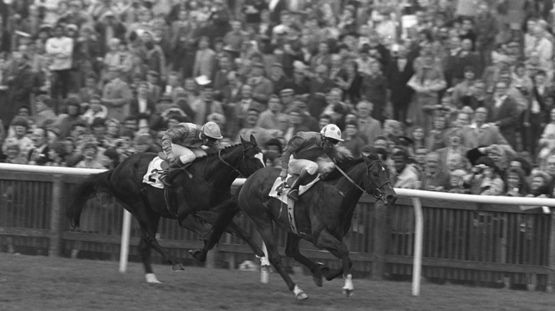 The 1984 2,000 Guineas — Forty Years On…. | by Ciarán Ó Deoráin | Medium