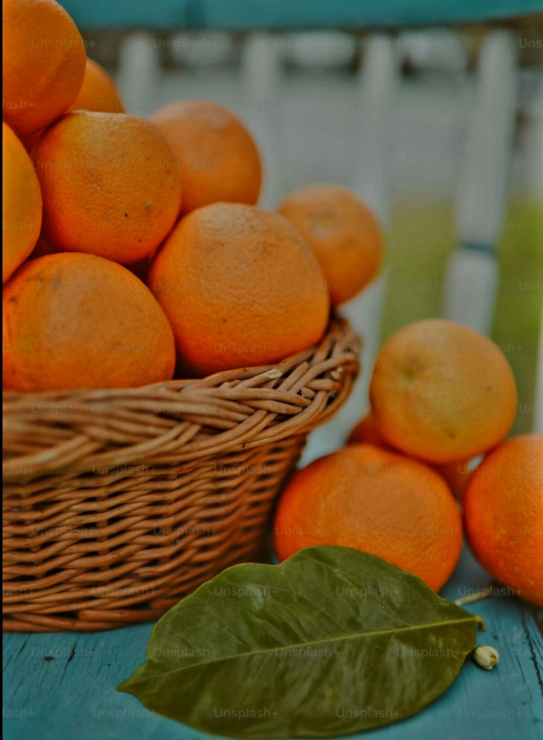 What Oranges symbolize in the Godfather Movies. by Ellen M. Lerner