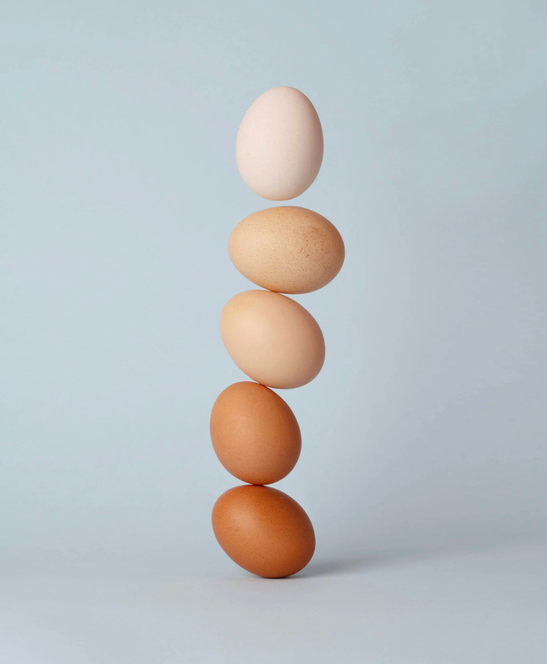 Our Second Time Picking an Egg Donor