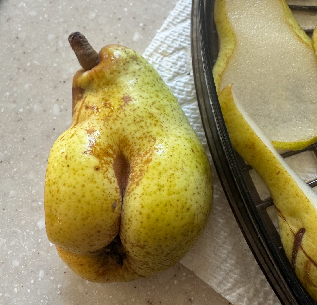 Pears That Look Like Butts and Other Gardening Benefits