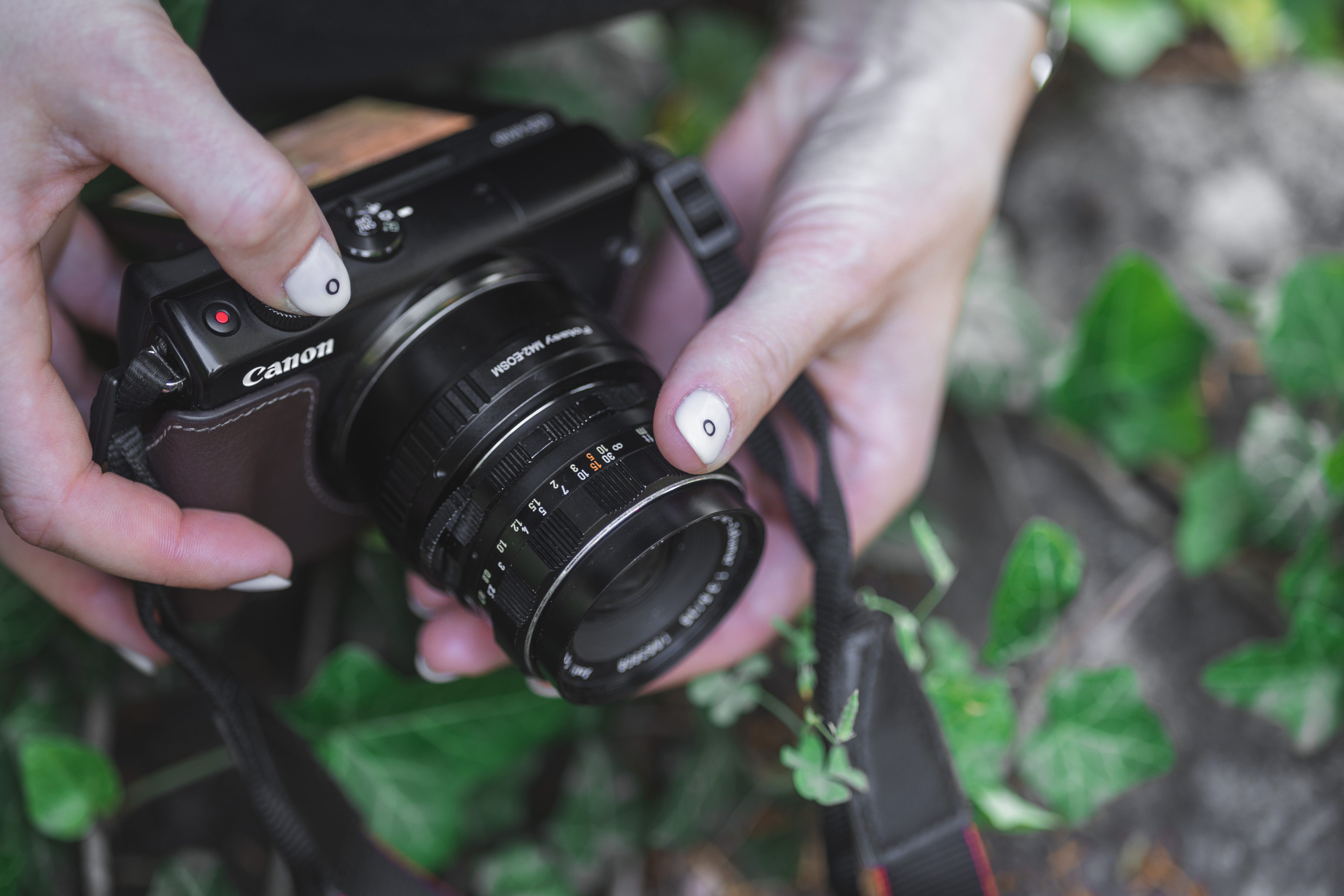 Super Takumar 35mm F3.5: Vintage Lens Delight | Fox Foto Co | Medium