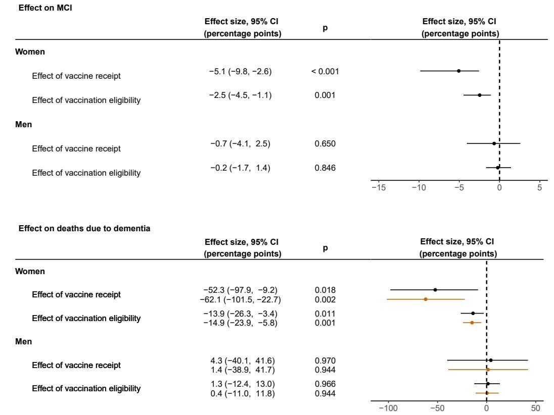 Figure 5. Effect of the shingles vaccine on MCI and dementia deaths, separated by sex. Among women, receiving the shingles vaccine reduced the risk of developing MCI by 5.1 percentage points, and simply being eligible reduced it by 2.5 points. Vaccinated women also had a dramatically lower risk of dying from dementia by 52 percentage points, while eligibility alone reduced risk by about 14 points. These effects were not observed in men. The orange lines show results from a different statistical approach (difference-in-differences), which point in the same protective direction for women. Source: Xie et al. (2025), Cell.