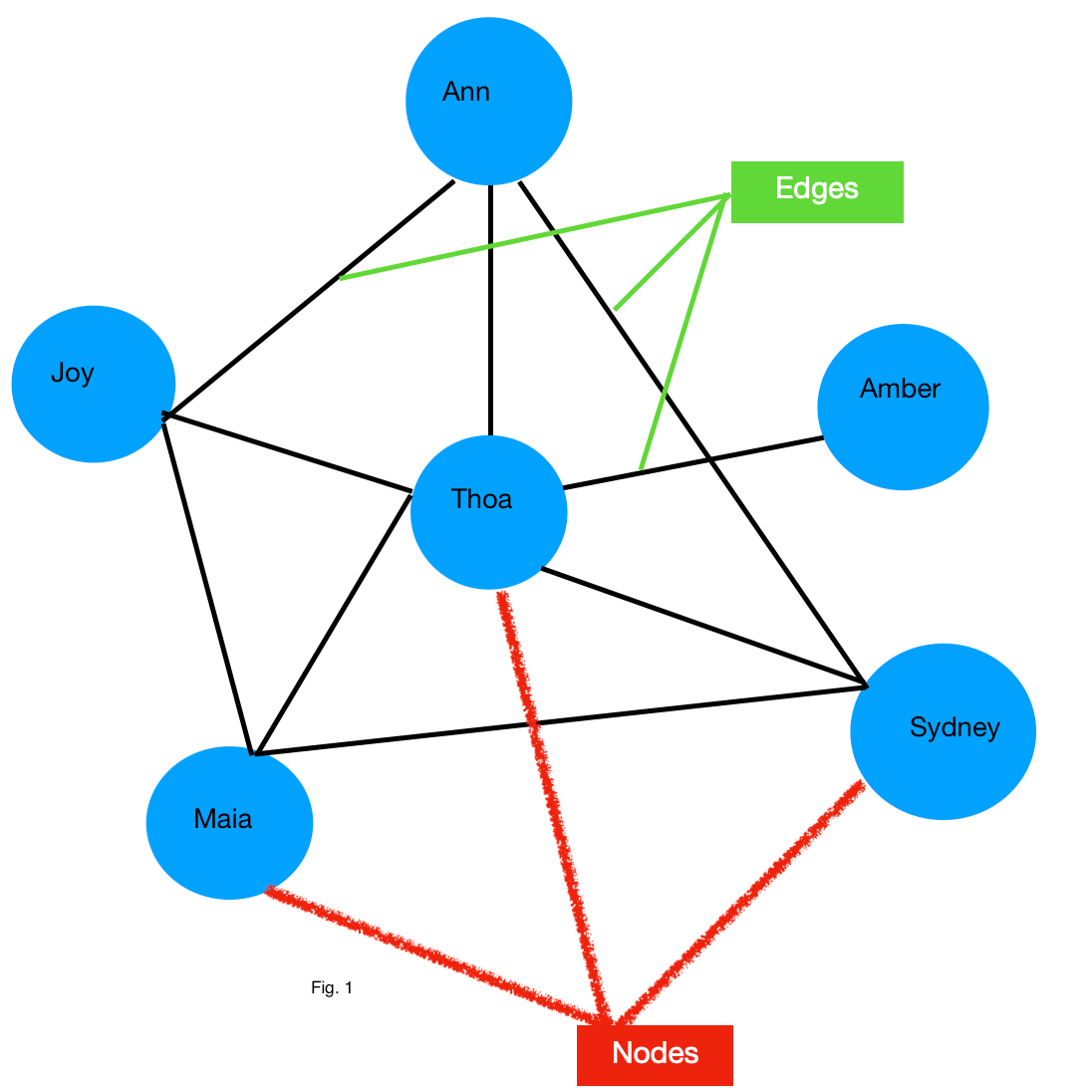 graph theory extended essay