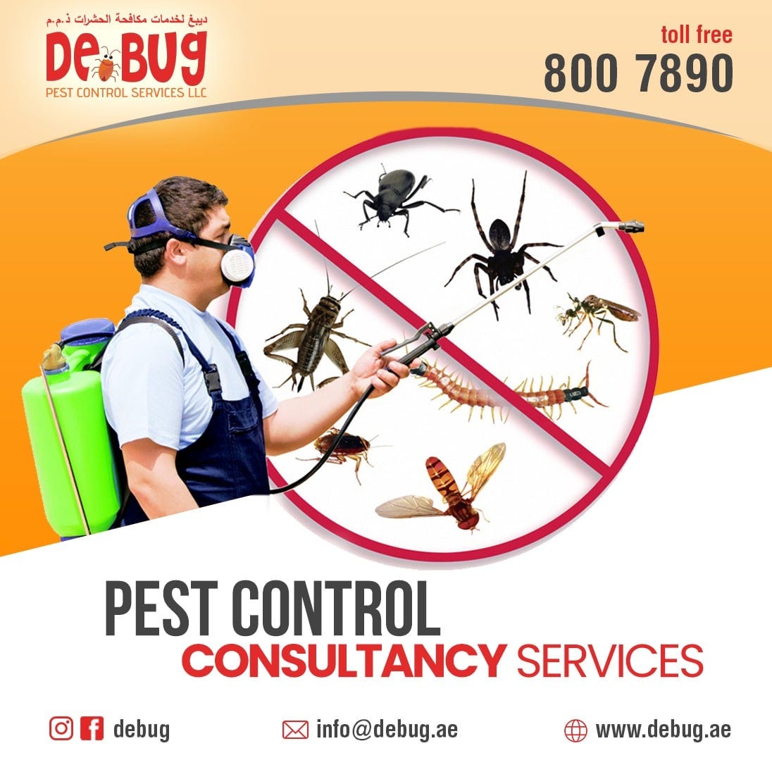 Bed Bug Treatment (Municipality Approved) - Debug - Medium