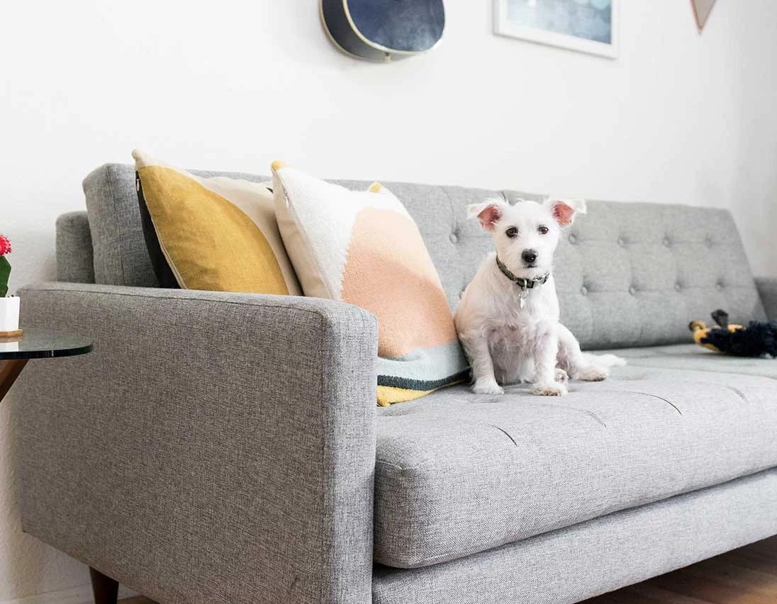 Joybird Review. A store that has a production company… by Alice Bell