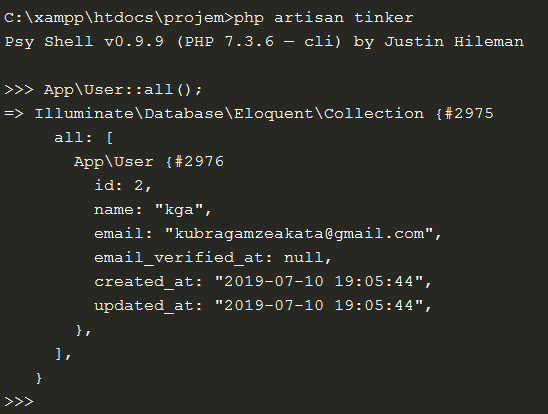 Laravel tinker. Laravel tinker