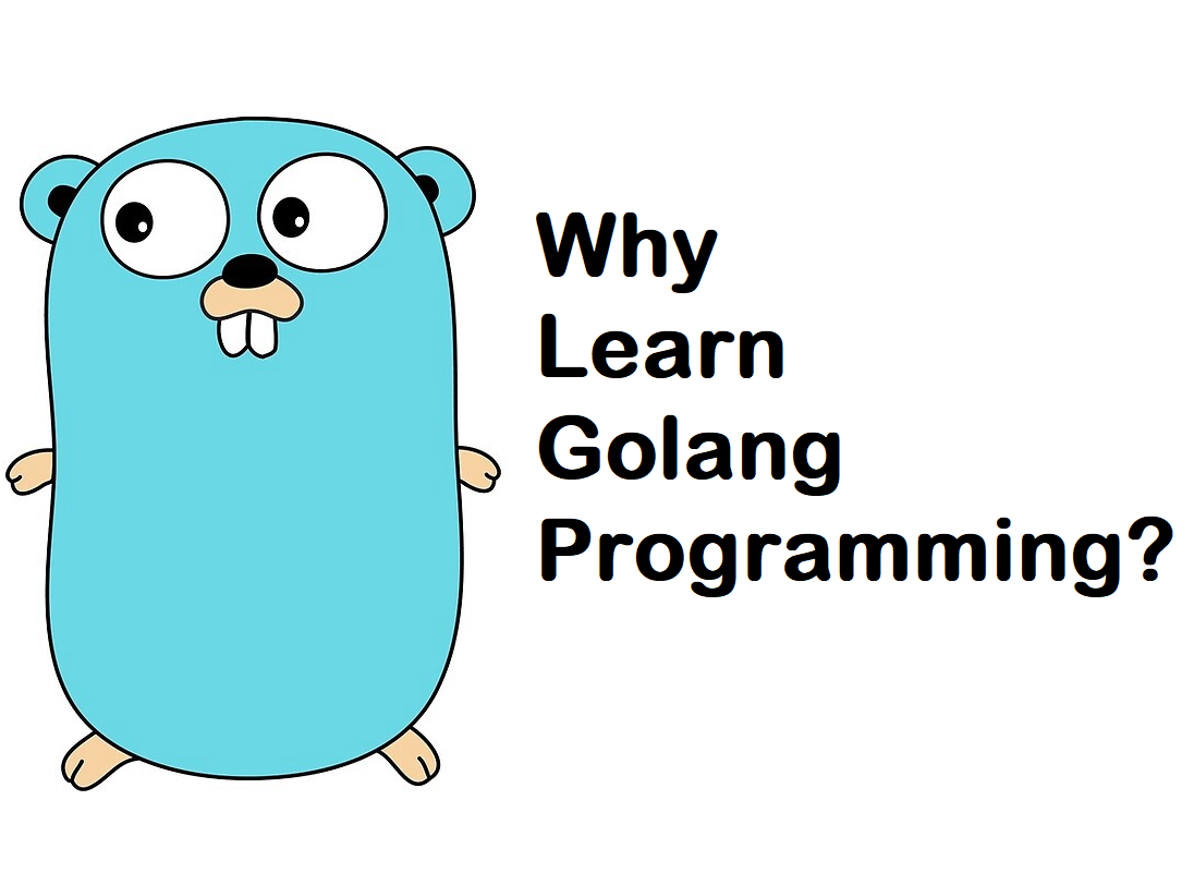 presentation about golang