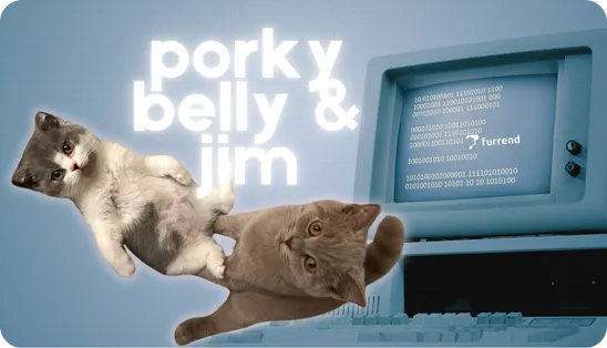 Patrick, Jim, and Porky Belly Interview