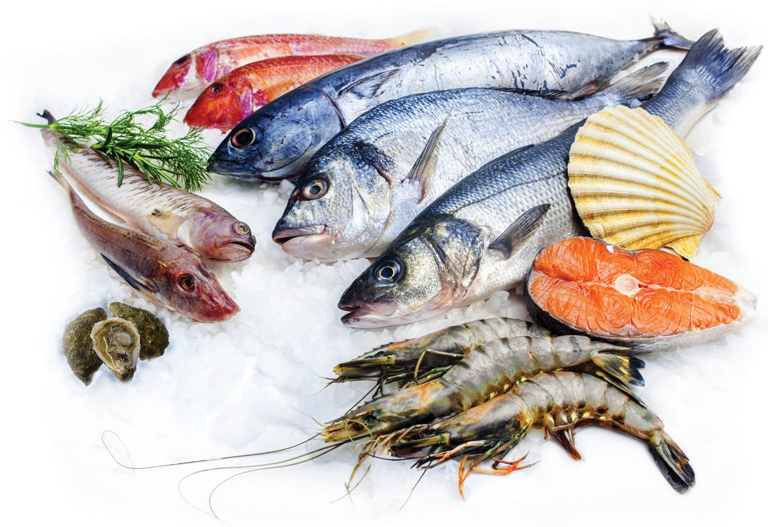 Australian Seafood Export Company by Australian Export and Import